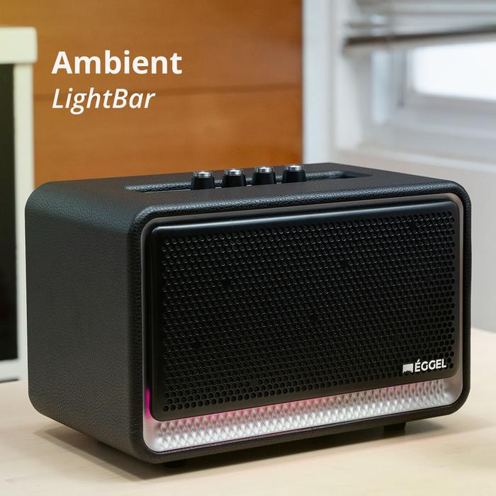 Eggel Home 3 Portable Bluetooth Speaker with Karaoke Function Home3