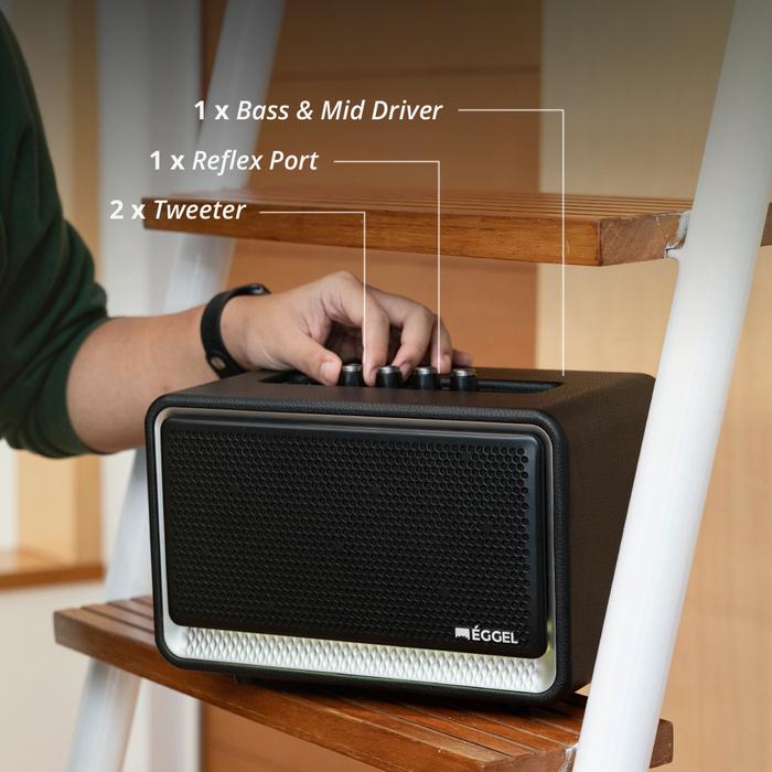 Eggel Home 3 Portable Bluetooth Speaker with Karaoke Function Home3