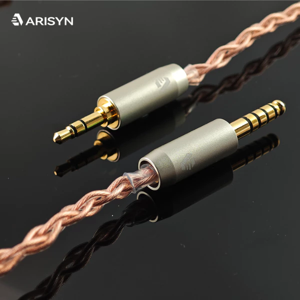 Arisyn Huo Shu HuoShu 10mm LCP Composite Diaphragm Dynamic Driver IEM In Ear Monitor Earphone