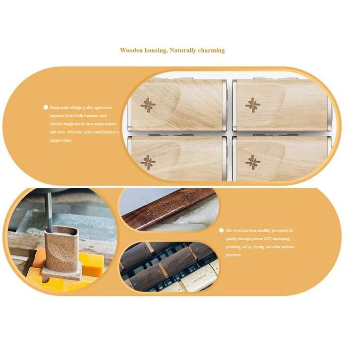 FiiO Snowsky Melody Dual CS43131 Portable Dongle DAC & Headphone amplifier