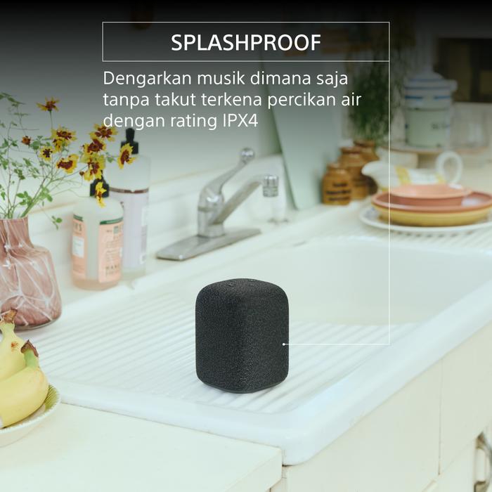 Sony LinkBuds LS1 Portable Wireless Speaker Balanced Sound Clear Call