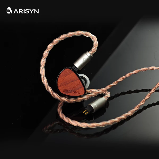 Arisyn Huo Shu HuoShu 10mm LCP Composite Diaphragm Dynamic Driver IEM In Ear Monitor Earphone