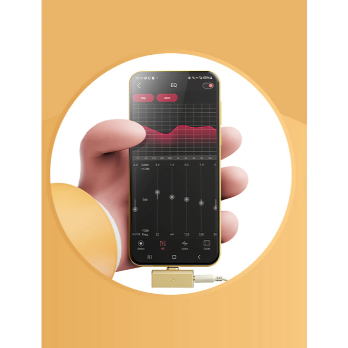 FiiO Snowsky Tiny Mini Tiny A Tiny B Portable Dongle DAC Dongle 3.5mm / 4.4mm / USB-C