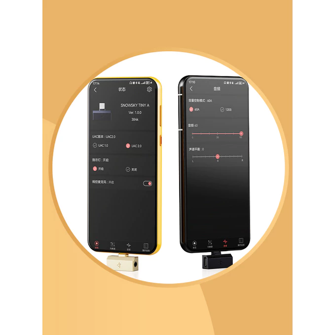 FiiO Snowsky Tiny Mini Tiny A Tiny B Portable Dongle DAC Dongle 3.5mm / 4.4mm / USB-C